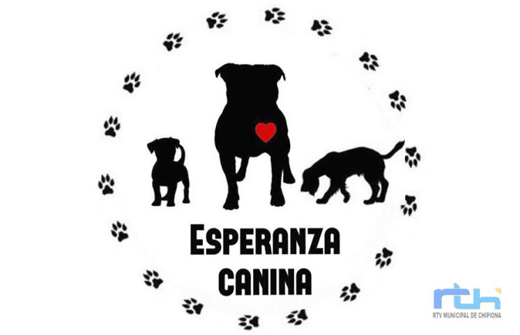 La protectora de animales Esperanza Canina pide colaboración ciudadana urgente para la compra de pienso