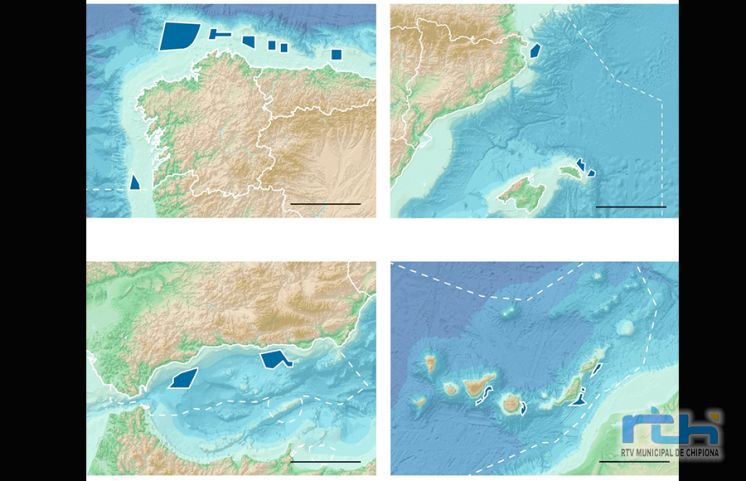 El CANS muestra su satisfacción por la negativa del Gobierno al proyecto de un parque eólico marino en la Bahía