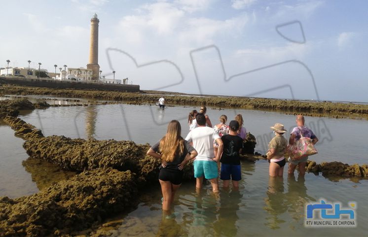 La Delegación de Turismo ha retomado esta semana las visitas guiadas a los corrales de pesquería de Chipiona