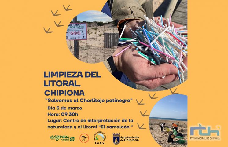 El domingo 5 de marzo tendrá lugar una jornada de limpieza del litoral chipionero donde habita el Chorlitejo patinegro