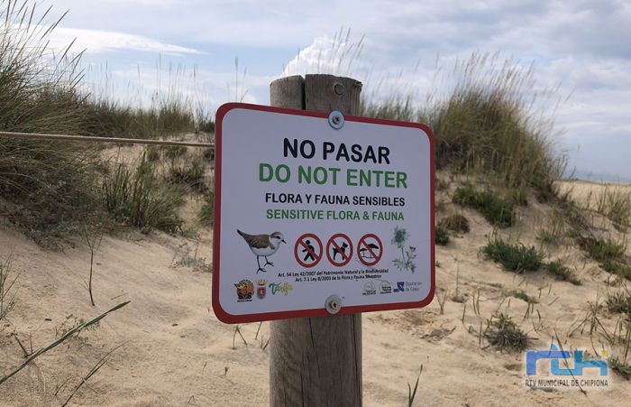 La Diputación recuerda la importancia de evitar el tránsito en las zonas del litoral con presencia de chorlitejos y otras especies vulnerables