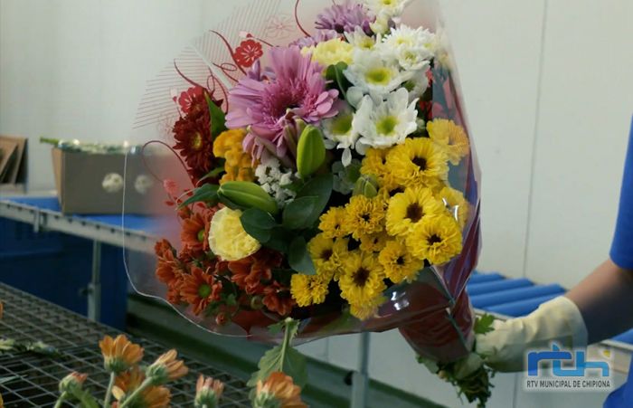 Agricultura promueve con una campaña audiovisual que se regalen flores y plantas de Chipiona por el Día de la Madre